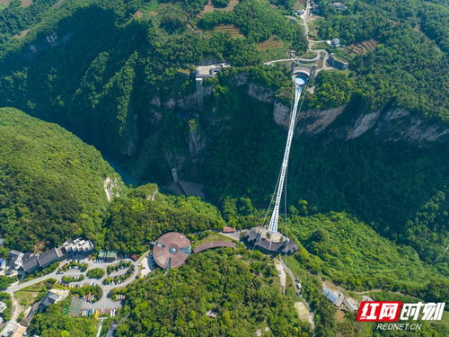 暑期年假計(jì)劃丨仙境張家界,湖南度假首選