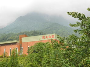 隱藏在5a景區(qū)里的飲料廠(chǎng),幾乎沒(méi)有人沒(méi)喝過(guò)他們的產(chǎn)品