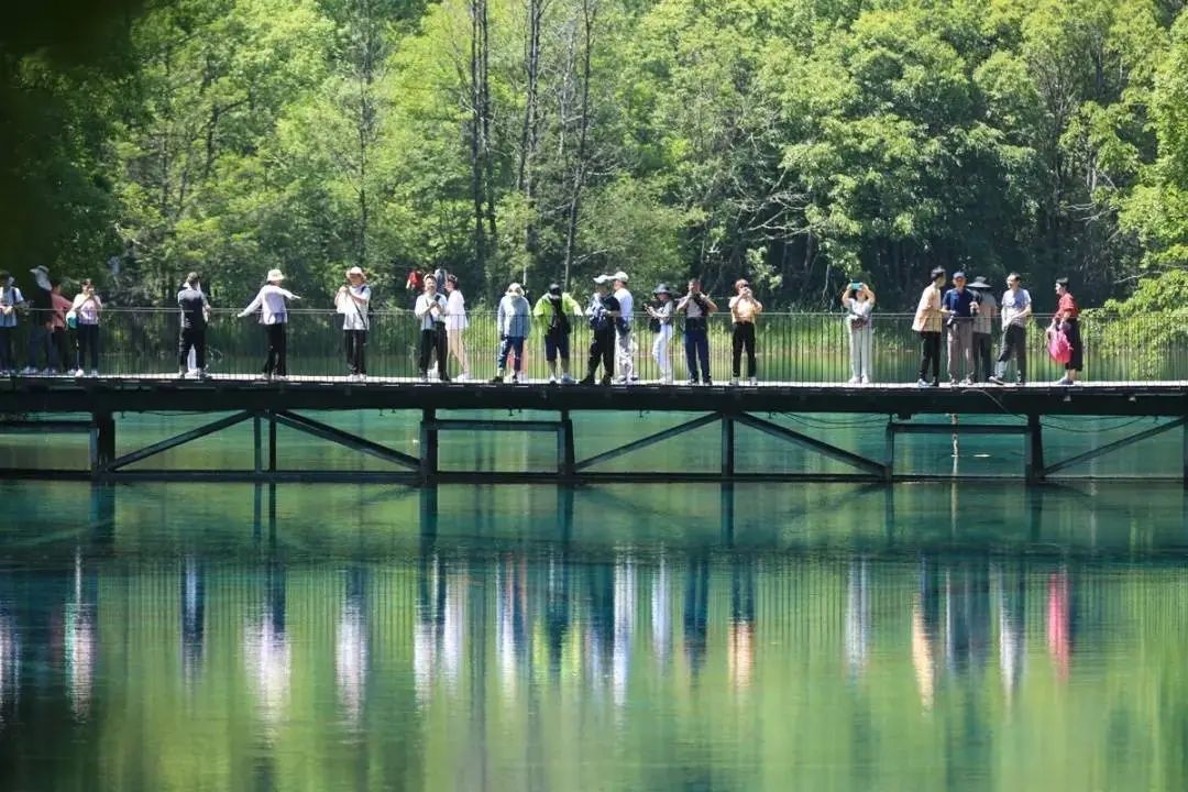 游客滿意度超96%!九寨溝景區(qū)調(diào)度能力太強火上熱搜!