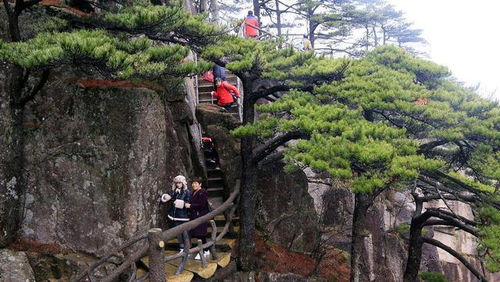 窮人越來(lái)越窮,富人越來(lái)越富,盤(pán)點(diǎn)富人不希望窮人明白的秘密